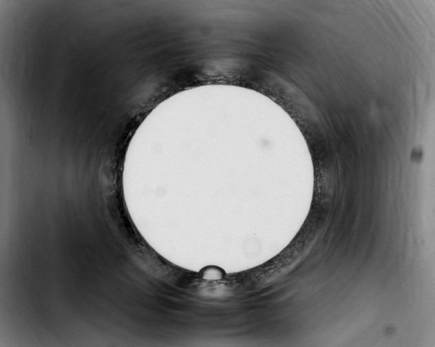 X0000103450751200810241145