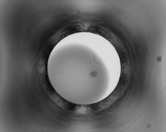 X0000103450754200810241145