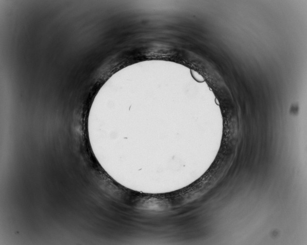 X0000103450755200810241145