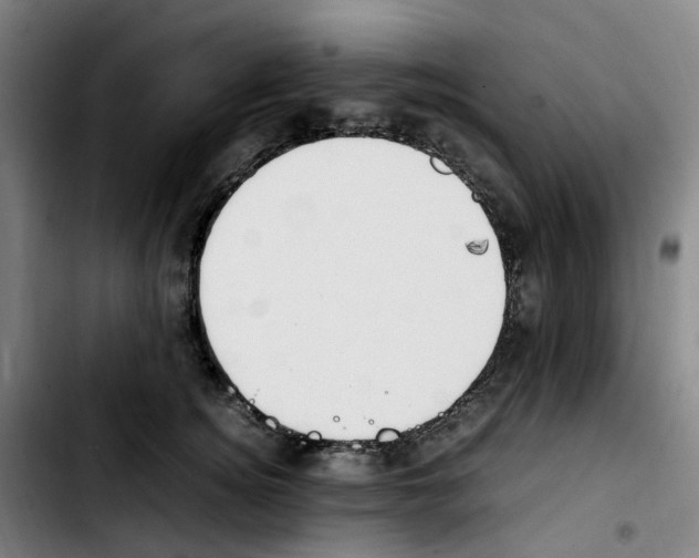 X0000103450756200810241145