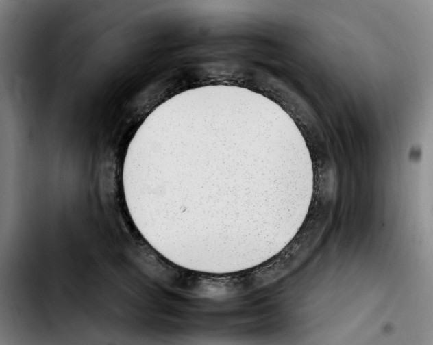 X0000103450757200810241145