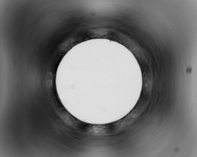 X0000103450758200810241145