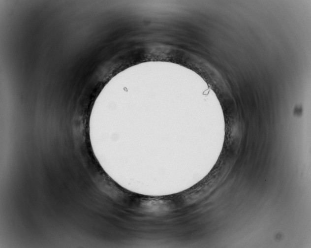 X0000103450759200810241145