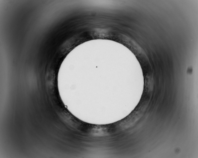 X0000103450760200810241145