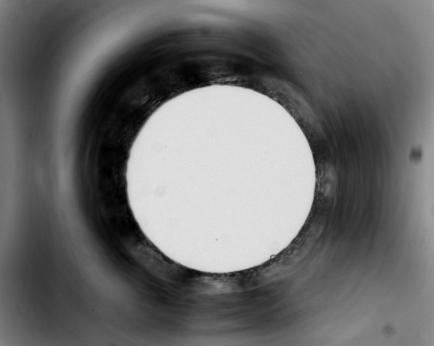 X0000103450763200810241145