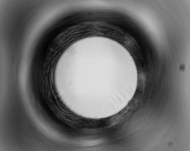 X0000103450765200810241145