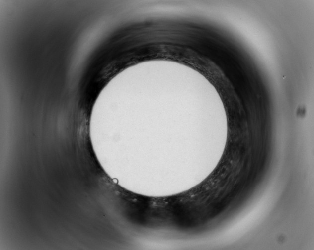 X0000103450766200810241145