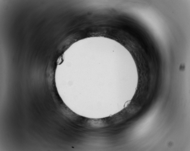 X0000103450767200810241145