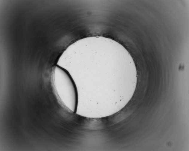 X0000103450768200810241145