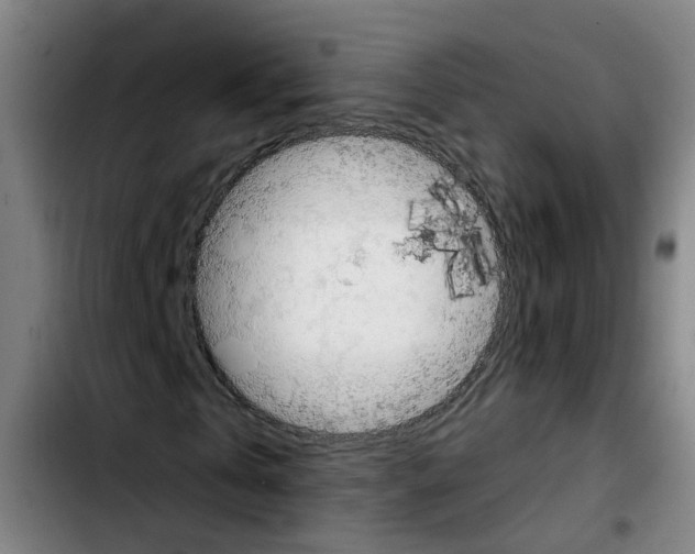 X0000103450769200810241145