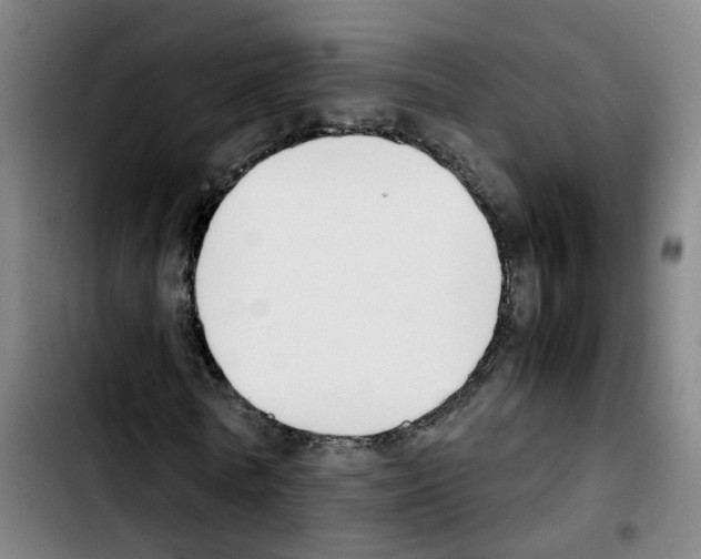 X0000103450770200810241145