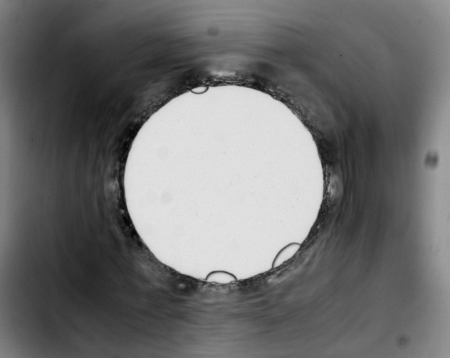 X0000103450771200810241145