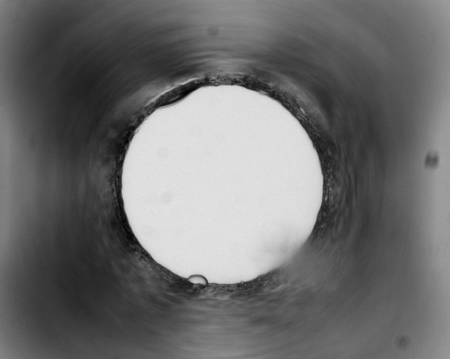 X0000103450773200810241145