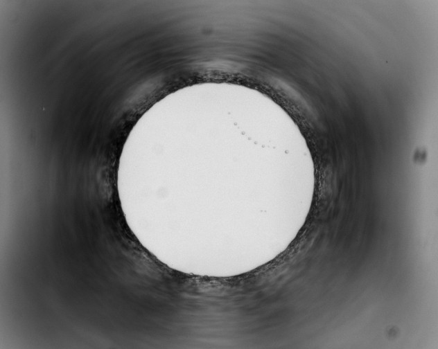 X0000103450774200810241145