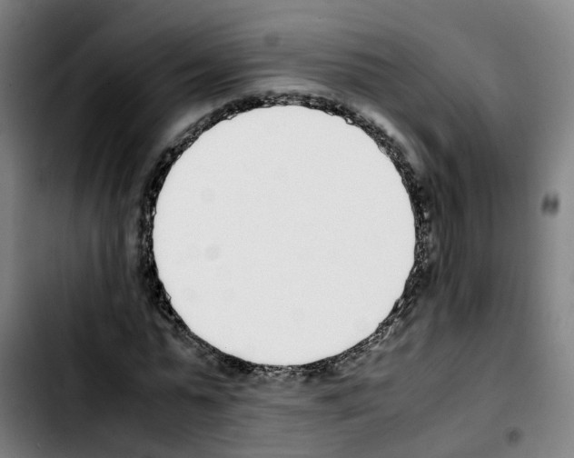 X0000103450775200810241145