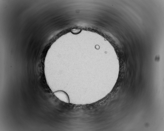 X0000103450776200810241145