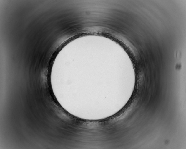 X0000103450778200810241144