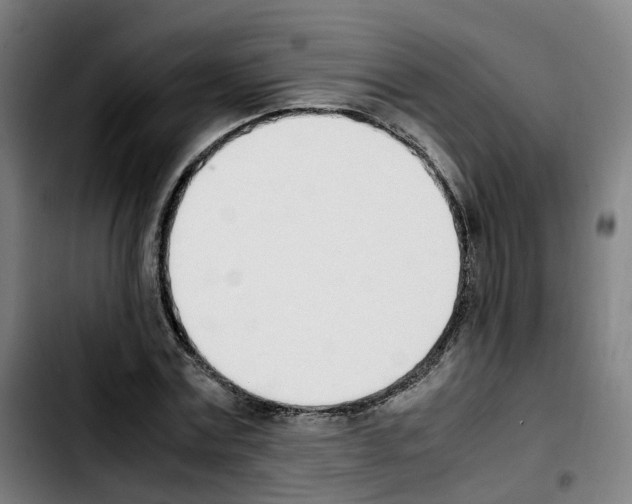 X0000103450779200810241144