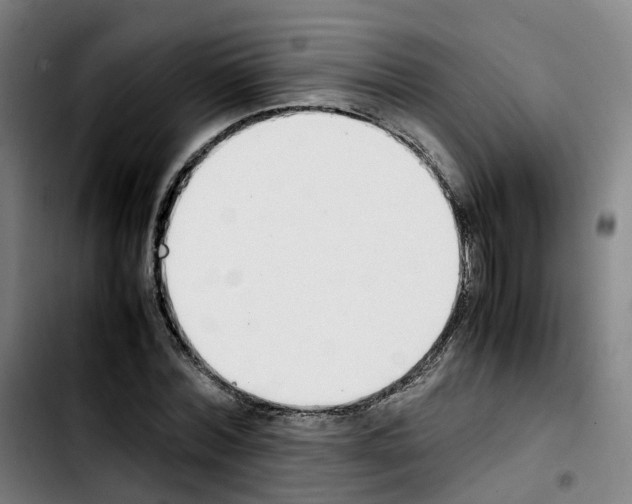 X0000103450780200810241144