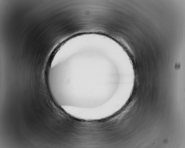 X0000103450781200810241144