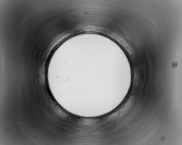 X0000103450782200810241144