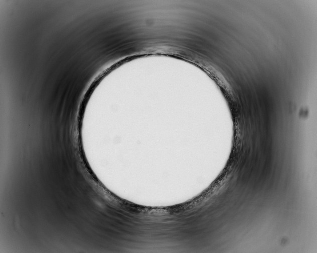 X0000103450784200810241144