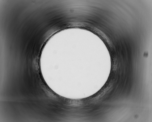 X0000103450786200810241144