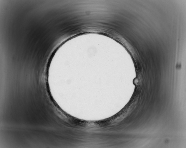 X0000103450787200810241144