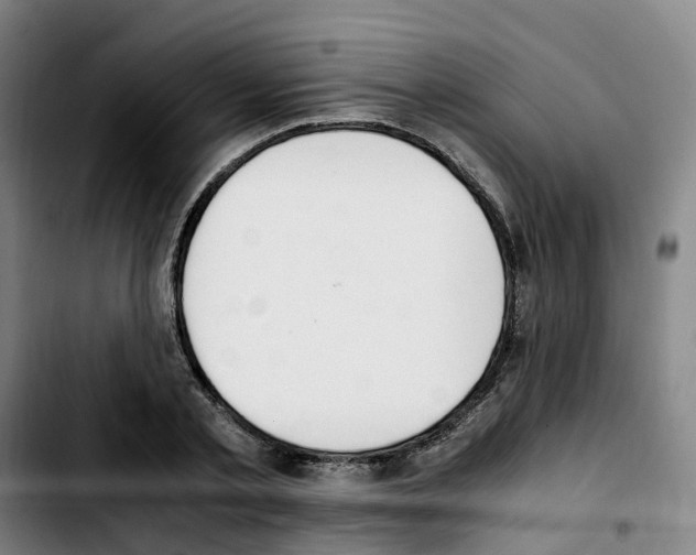 X0000103450789200810241144