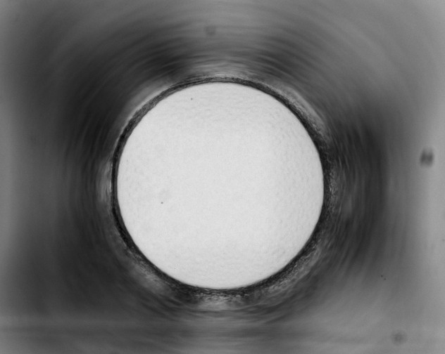 X0000103450790200810241144