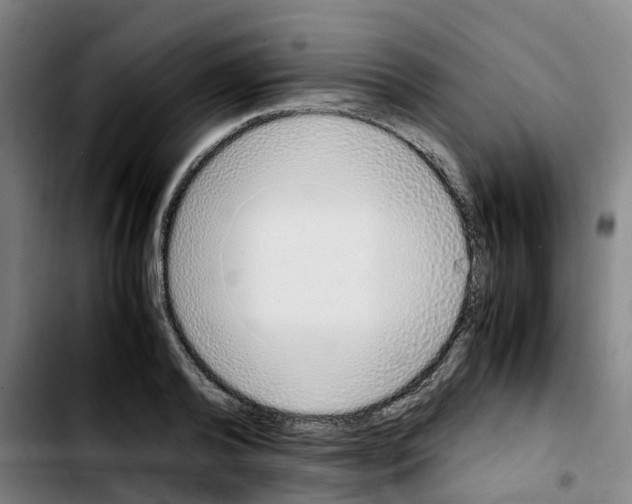 X0000103450792200810241144