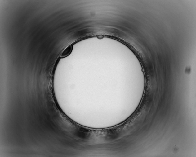 X0000103450793200810241144