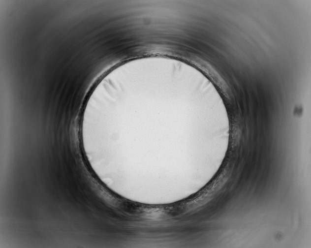 X0000103450798200810241144