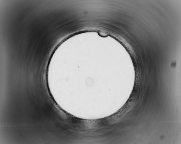 X0000103450799200810241144