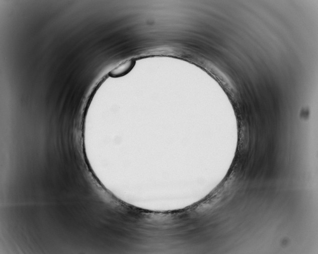 X0000103450800200810241144