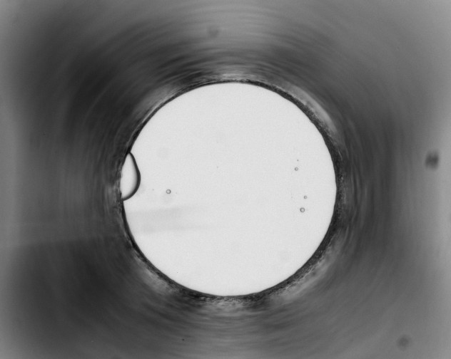 X0000103450801200810241144