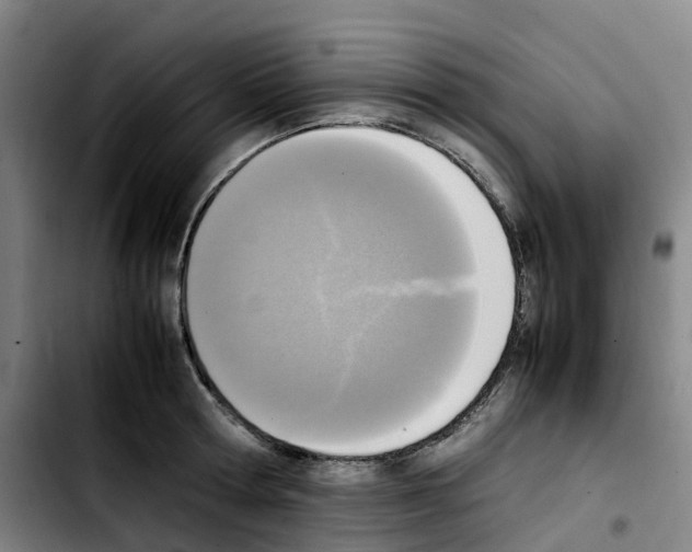 X0000103450802200810241144