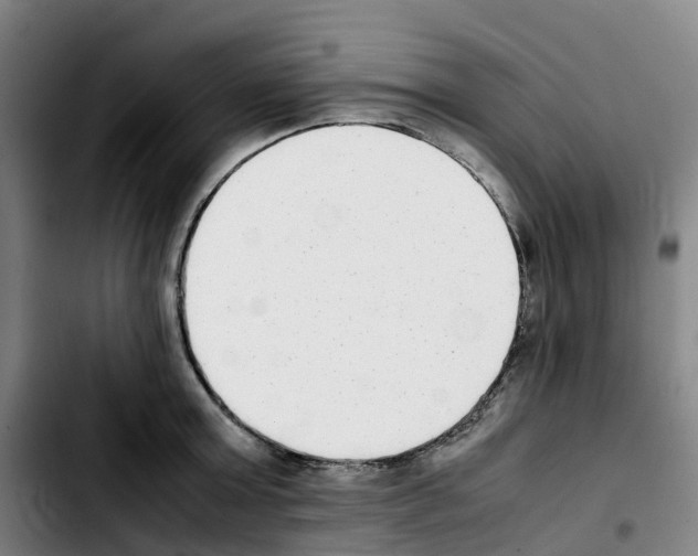 X0000103450803200810241144