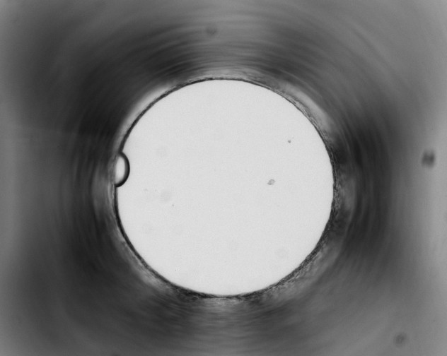 X0000103450804200810241144