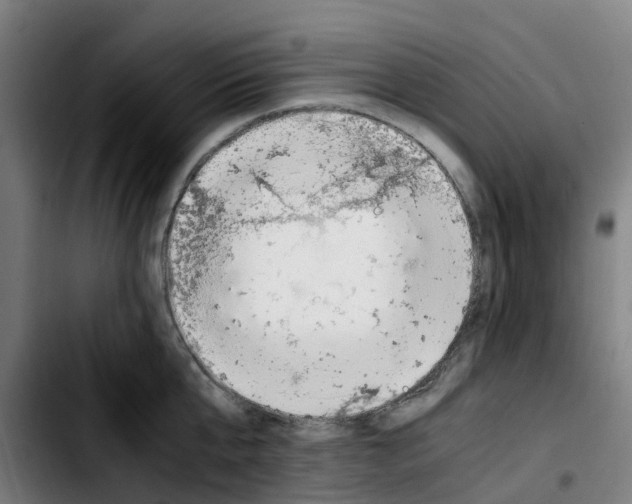 X0000103450807200810241144