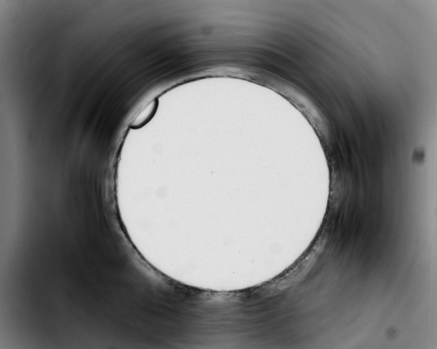 X0000103450808200810241144