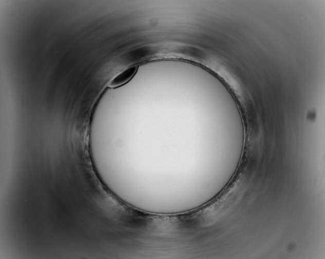 X0000103450809200810241144