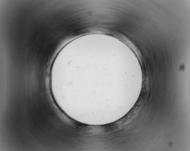 X0000103450811200810241144