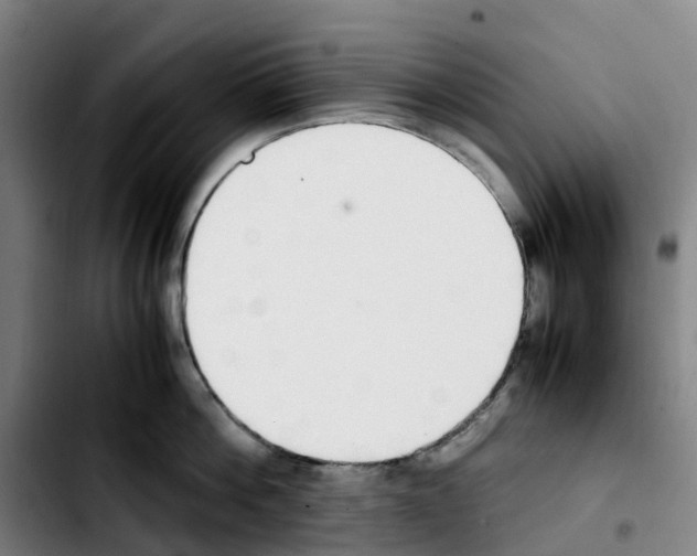 X0000103450812200810241144