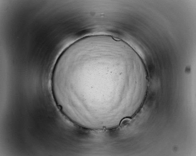 X0000103450813200810241144