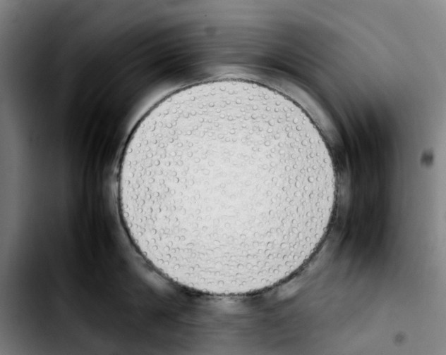 X0000103450814200810241144