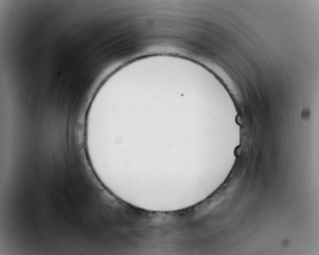 X0000103450815200810241144