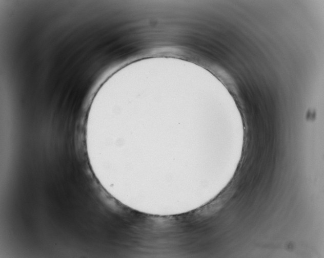 X0000103450816200810241144