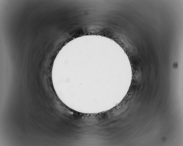 X0000103450817200810241143