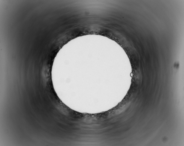 X0000103450818200810241143